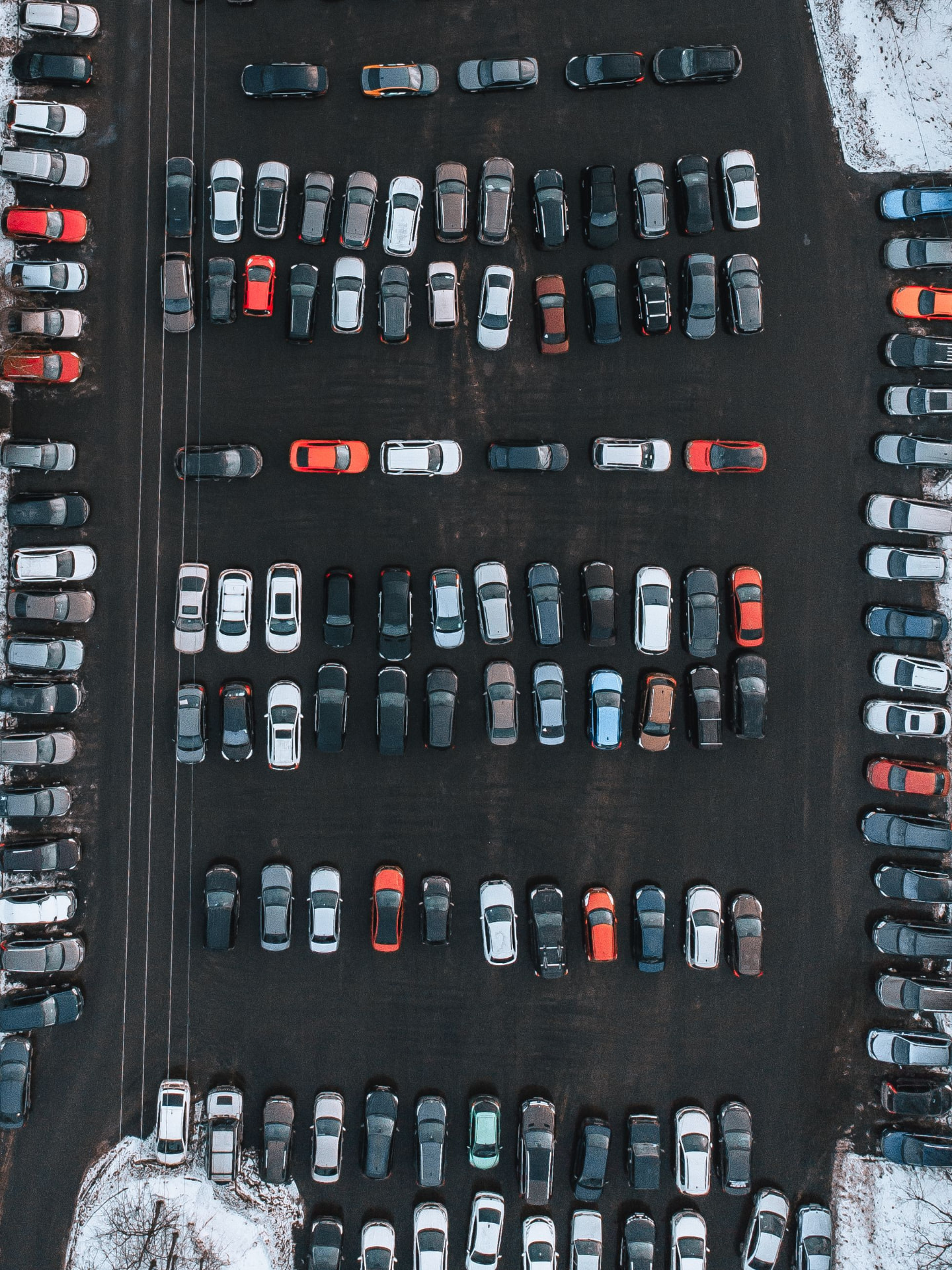 Dealership inventory representing the California used vehicle market