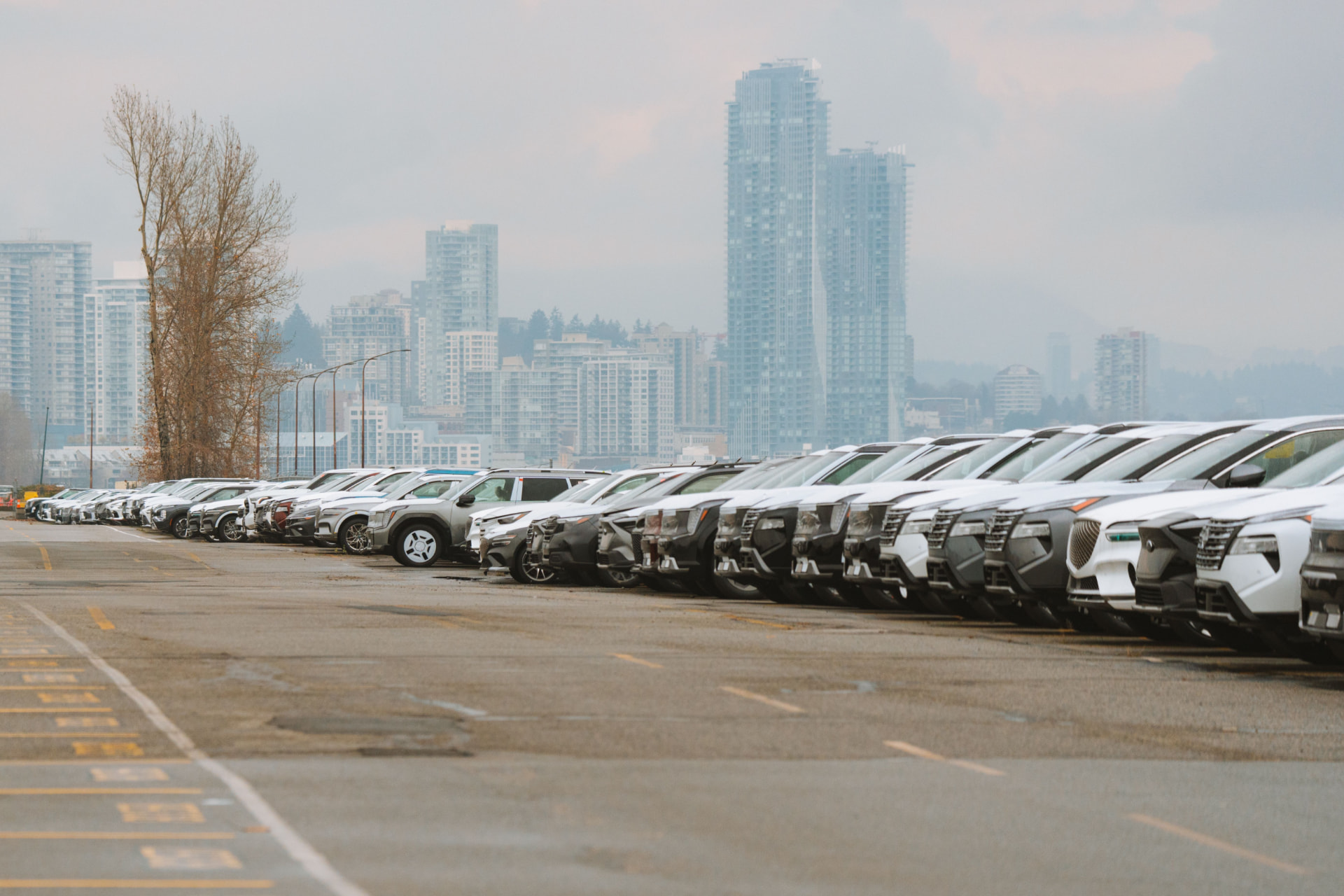Dealership inventory representing the New York used vehicle market